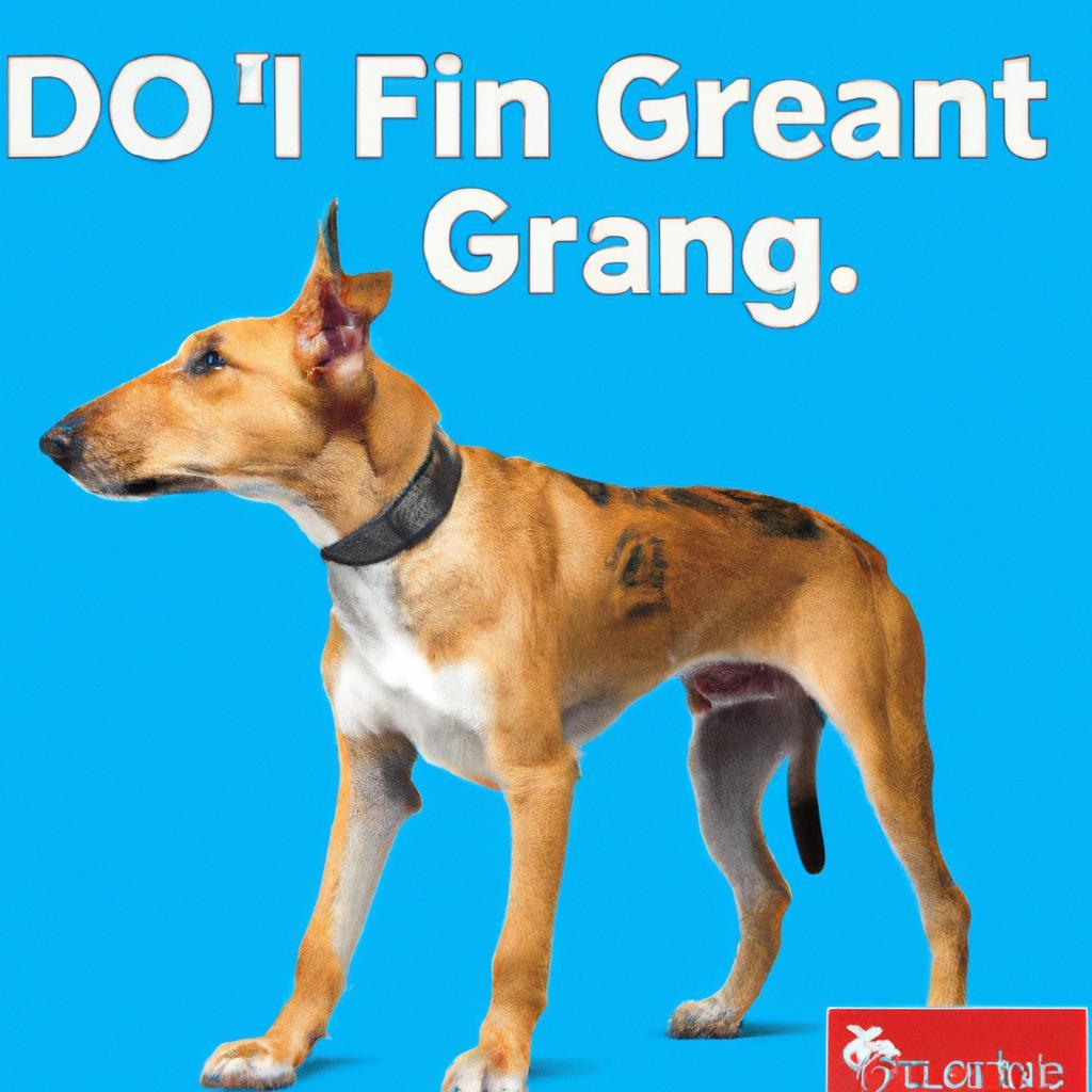 Does grain free dog food stop itching