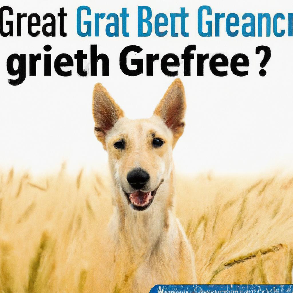 Is grain free better for itchy dogs