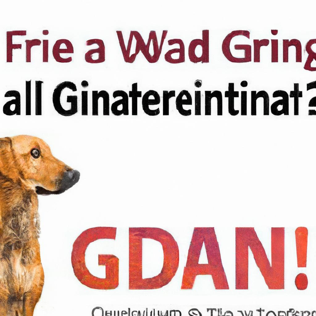 What is the difference between grain free and limited ingredient dog food