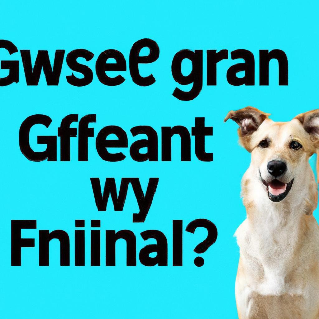 Why is my dog grain free