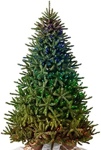 Sparkle and Shine: Top Balsam Hill Christmas Trees for 2023