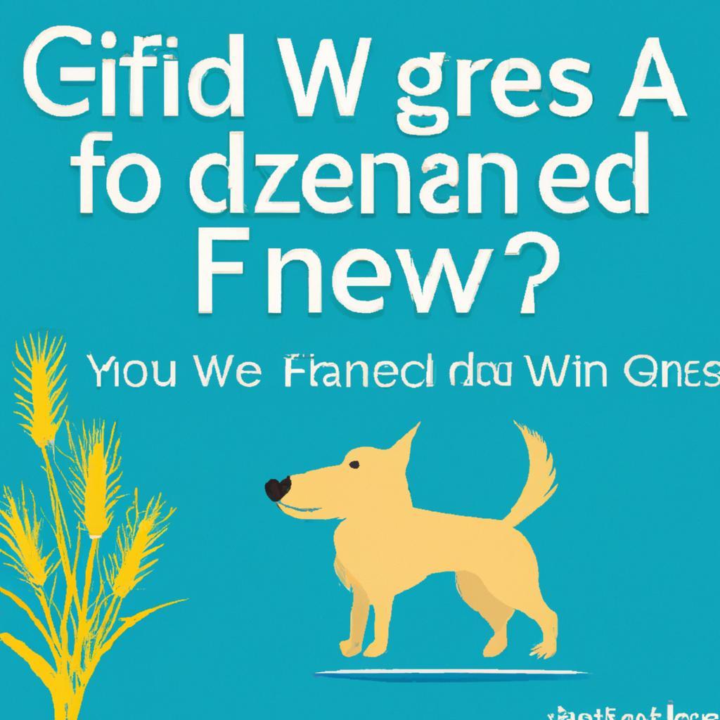 How do I know if my dog needs grain free food