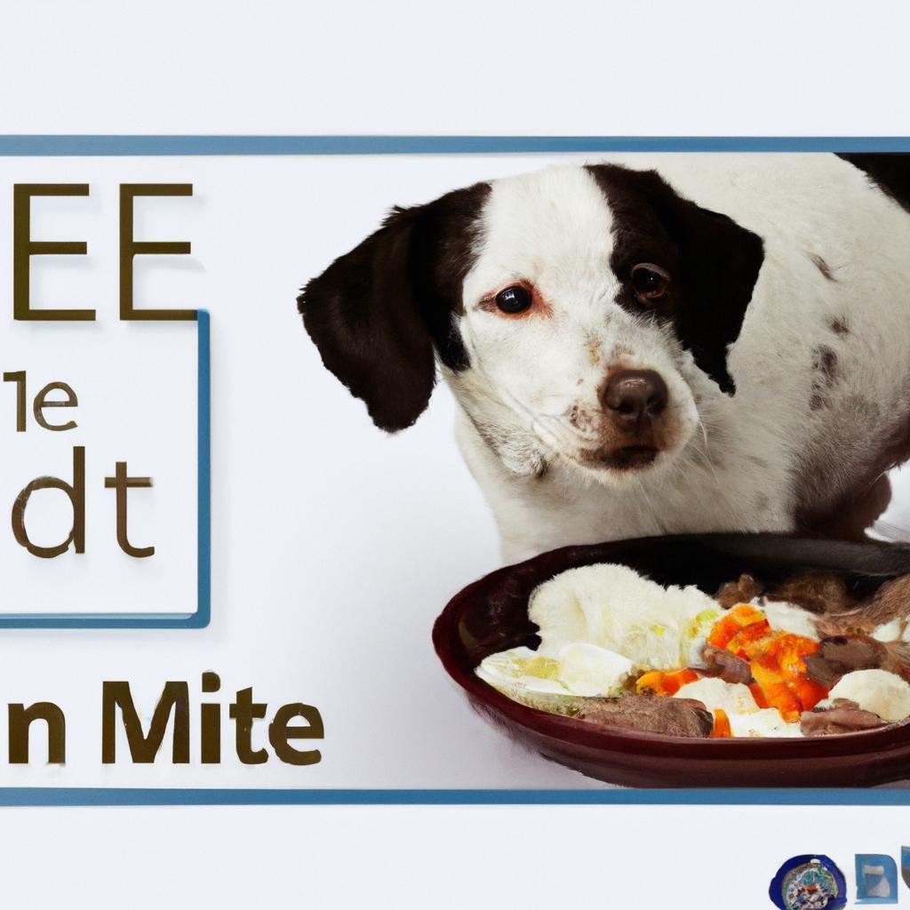 Can dogs on a grain-free diet eat rice