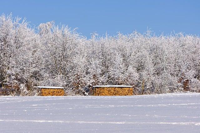 What does winter arc mean in gym? 