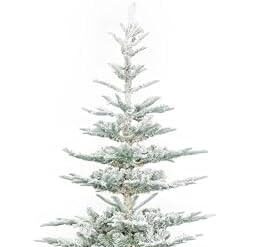 Top 3 Snow Flocked Trees for a Magical Christmas Décor