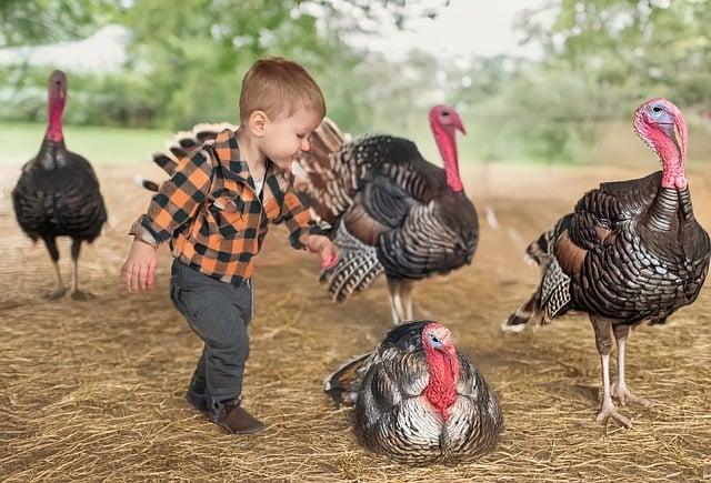 What is the difference between Korean Thanksgiving and American Thanksgiving