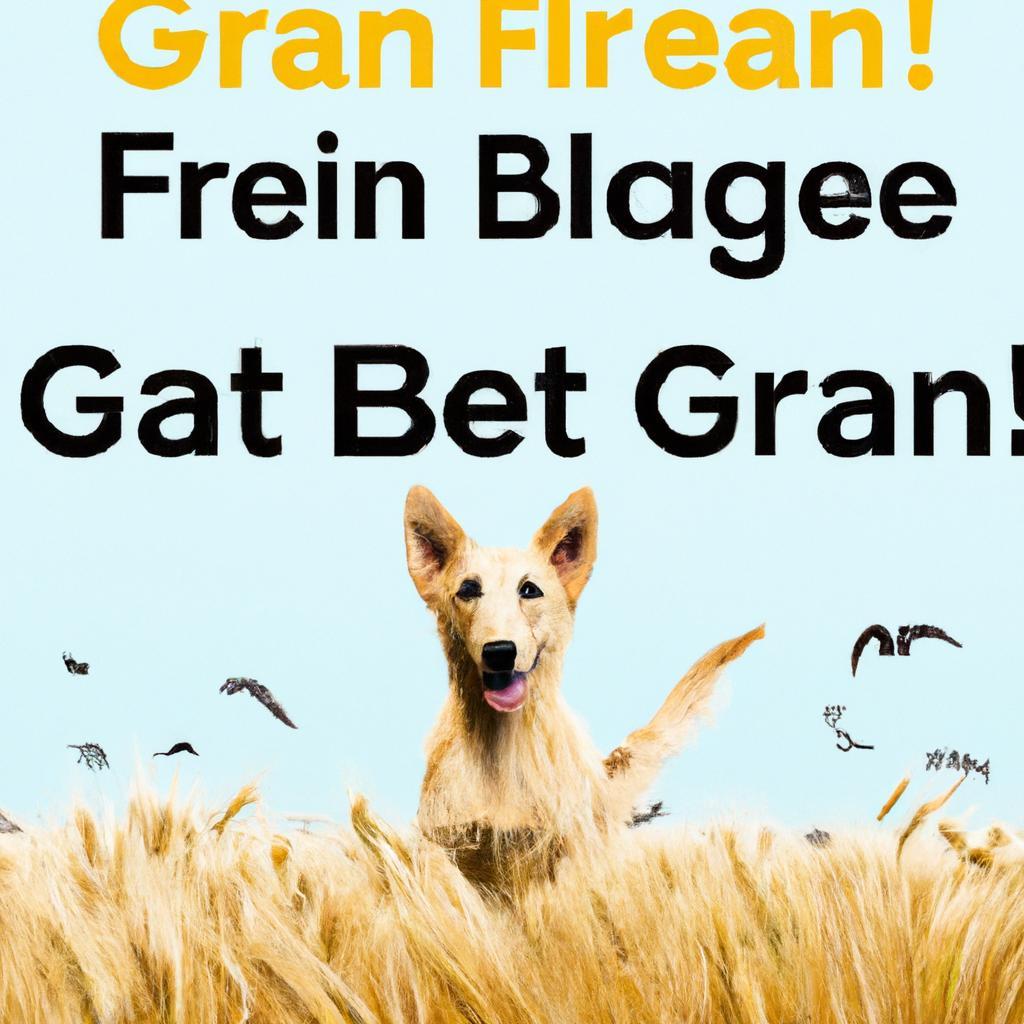 Is grain free food better for dogs