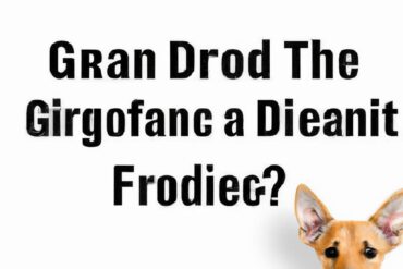 What are the disadvantages of grain-free dog food