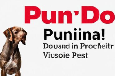 Is Purina dog food vet recommended