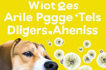 What triggers dog allergies