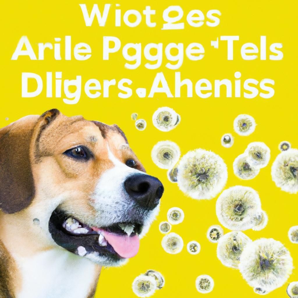 What triggers dog allergies