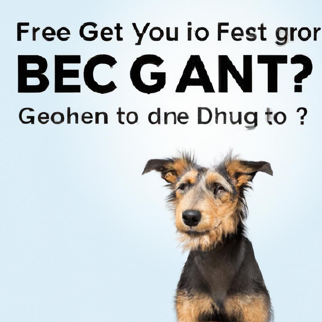 Is grain free better for dogs