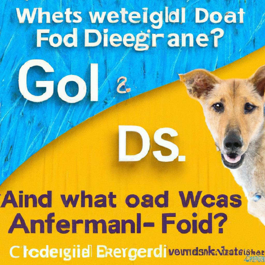 What is the difference between grain free and whole grain dog food