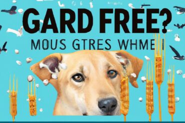 Why is grain free dog food more expensive