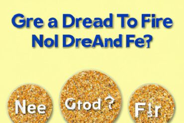 Should I feed my dog grain free or not