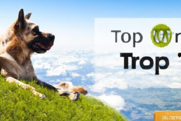 What is the top 1 dog world