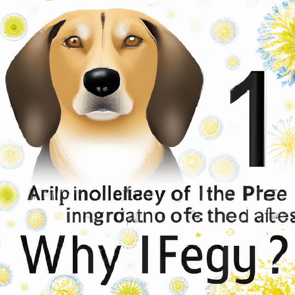 What is the number 1 allergy for dogs