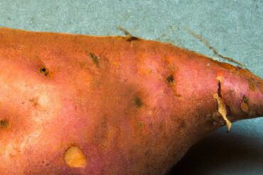 Is sweet potato a grain