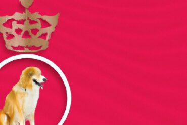 Is Purina as good as Royal Canin