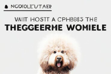 What is the most hypoallergenic dog