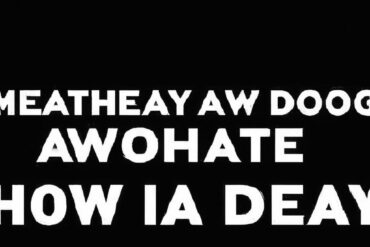 How much should a dog eat a day