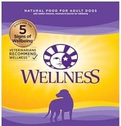 Discovering Wellness: A Review of Complete Health Dog Food