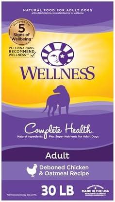 Discovering Wellness: A Review of Complete Health Dog Food