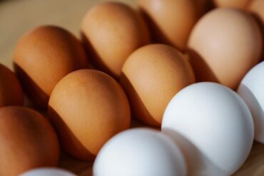 Are raw eggs good for dogs