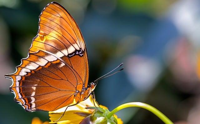 Practical Tips for Infusing Joyful Yellow into Your Daily Life