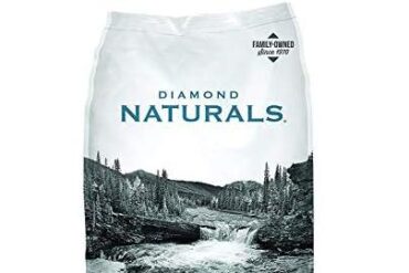 Discovering Healthy Coats: Our Take on Diamond Naturals Dog Food