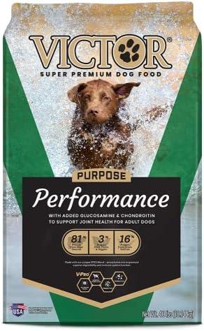 Fueling Adventure: Our Take on Victor Super Premium Dog Food