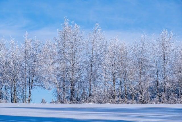 Understanding the Seasonal Sales Calendar in Japan