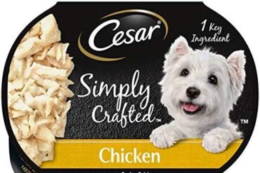 Elevating Mealtime: Our Take on CESAR Simply Crafted Topper