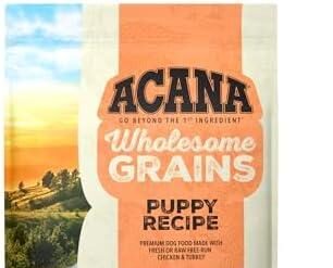 Discovering ACANA Wholesome Grains: A Nutritious Puppy Feast