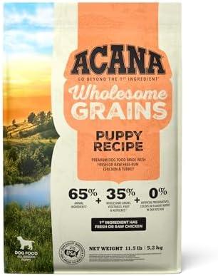 Discovering ACANA Wholesome Grains: A Nutritious Puppy Feast