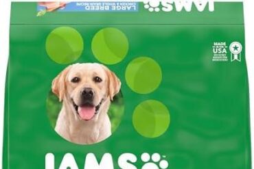 Top IAMS Dog Foods: Tailored Nutrition for Every Pup!