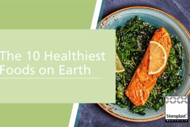 What is the healthiest food in the world for dogs