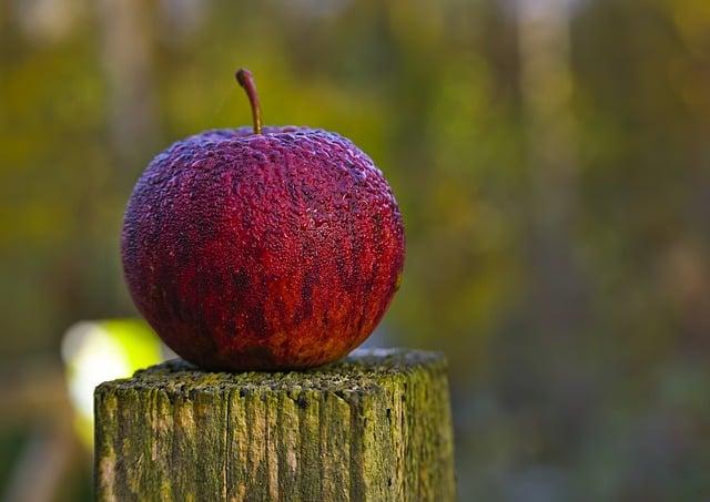 The Sweet Influence of Summer Fruits in Festive Treats