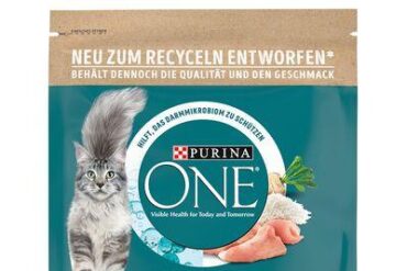 Is Purina chicken and rice good for dogs