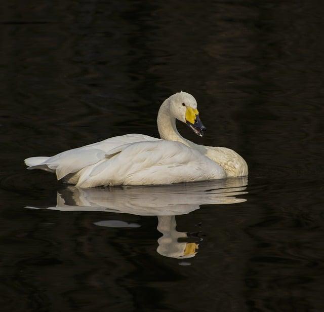 Embracing Reflection and Anticipation During the Season