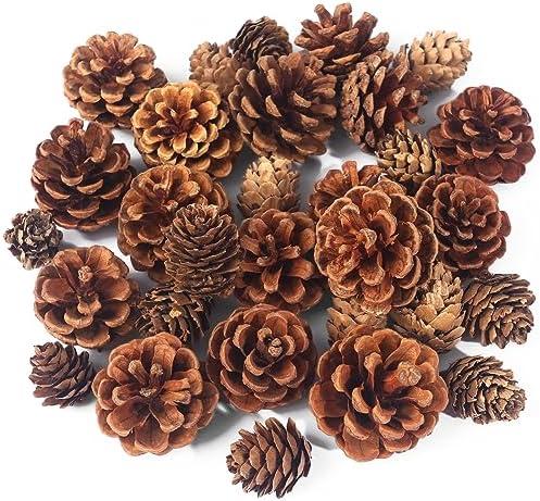 Transforming Our Holidays: A Review of JOHOUSE Pine Cones