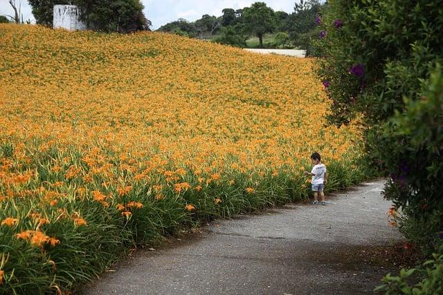 What is the biggest festival in Taiwan