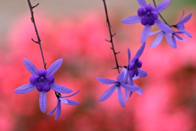 Choosing the Right Wreath Flower for Your Occasion