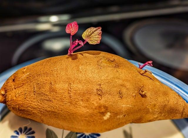 Understanding the Perfect Potato Portion for Your Thanksgiving Feast