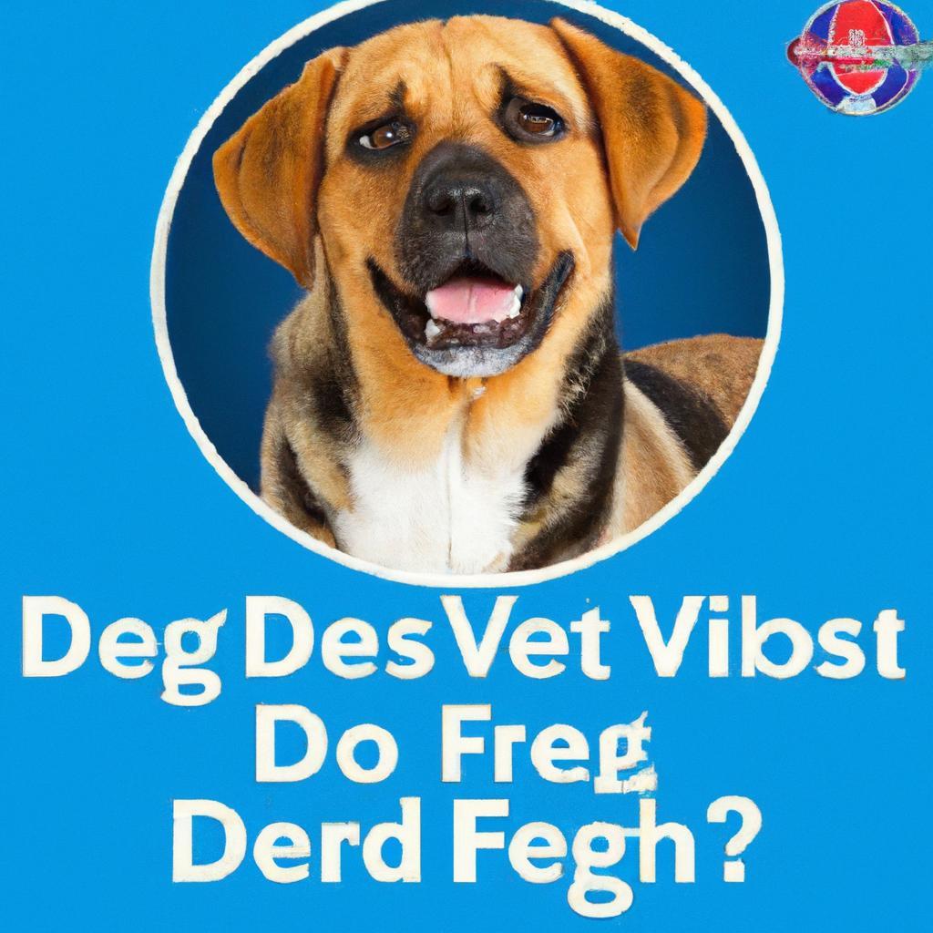 Do vets recommend fresh dog food