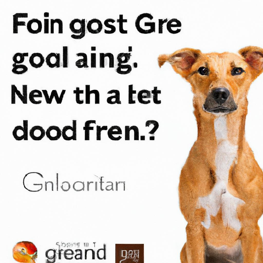 What is the point of grain free dog food