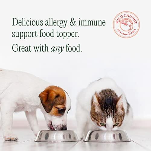 Transformative Salmon Oil: A Health Boost for Our Pets!