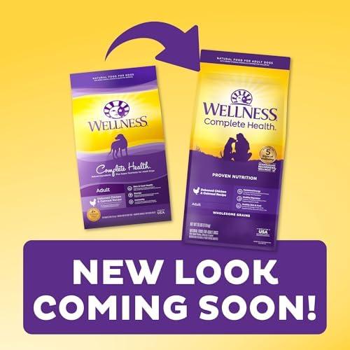 Discovering Wellness: A Review of Complete Health Dog Food