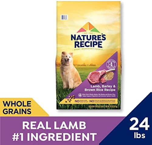 Discovering Nature’s Recipe: Lamb & Barley for Happy Dogs