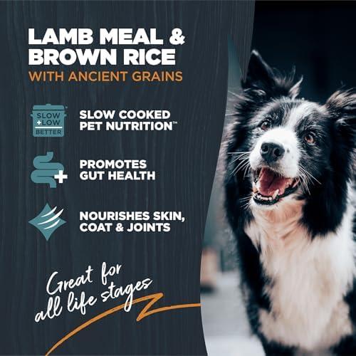 Can Blackwood Dry Dog Food Solve Our Pup's Tummy Troubles?